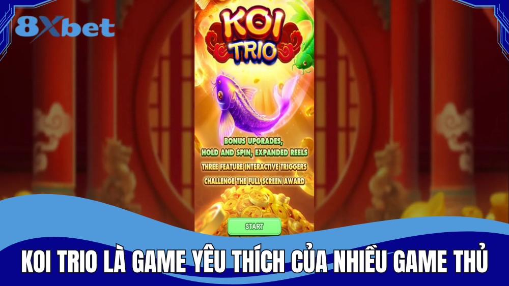 Koi Trio là game yêu thích của nhiều game thủ